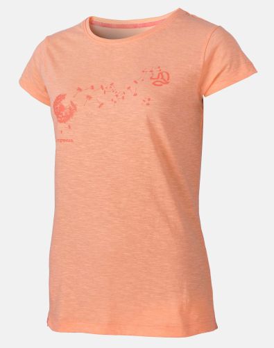 /1/2/1207955-6930-1-CAMISETA-TIZZARD.jpg