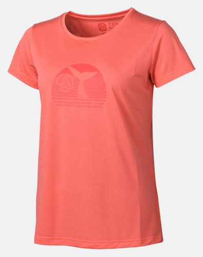 CAMISETA APSEY COVE T W